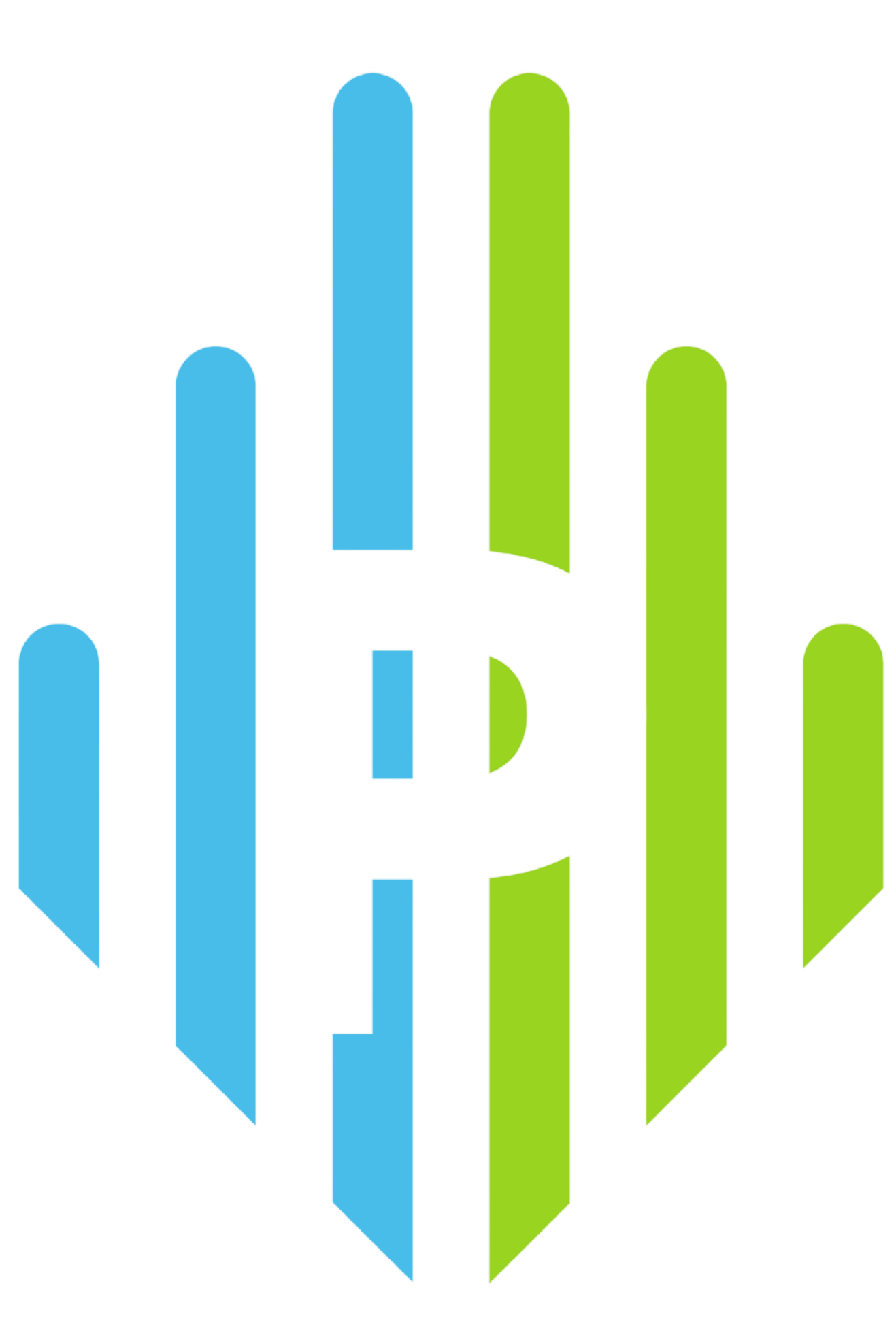 Perfect Builders Logo